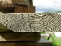 вани прави