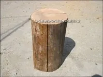 труп труп