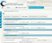 Як працює система "Електронний бюджет" система