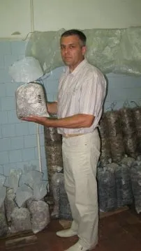 селска гъби