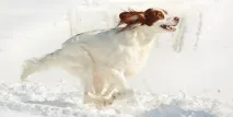 МЕСЕЦА МЕСЕЦА МЕСЕЦА МЕСЕЦА МЕСЕЦА МЕСЕЦА