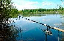 Як вибрати вудилище фідера правильно по довжині, кращі моделі та фірми, відгуки кращі