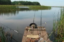 Як вибрати вудилище фідера правильно по довжині, кращі моделі та фірми, відгуки кращі