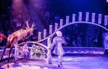 Королівський цирк Гії Ерадзе – справжня казка, в яку хочеться вірити цирк