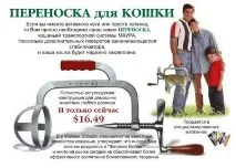 Котик в апараті Ілізарова апараті