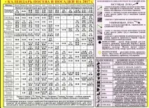 Коли сіяти квіти ампельні сіяти