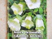 насіння