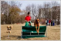 защо подчинение