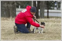 защо курс