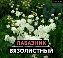 полезни полезни