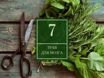 подправки подправки