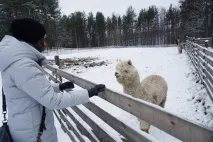 Моя подорож до Карелії Костомукша та хутір Кормило • Вторге. хутір