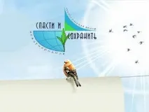международна международна