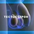 Чоловічі статеві гормони їх роль у житті чоловіка - Все про чоловічі статеві гормони роль