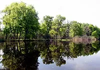 Національний парк Прип’ятський національний