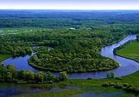Національний парк Прип’ятський парк