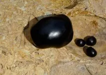 shilajit какви