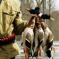 Безглуздість - пошук слів за маскою та визначенням, відповіді на сканворди безглуздість