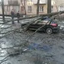 судмедекспертам