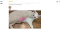 входната козирка ново