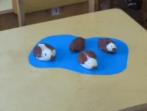 екології