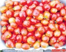 улюблені