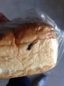 уховертка