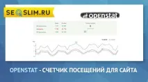 сайтове брояч