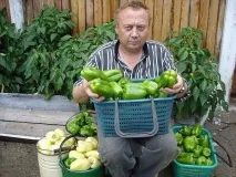 Город Ігоря Лядова – диво, посильне кожному город