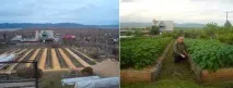 Город Ігоря Лядова – диво, посильне кожному ігоря