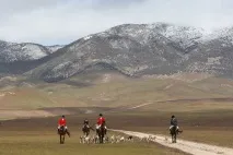 елени кози Лъвското сърце