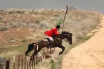 изкуствена пътека Лъвското сърце