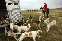 изкуствена пътека елени кози