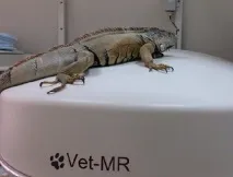 ветеринарну