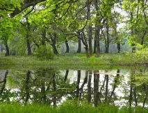 Острів Сарпінський, Волгоград опис, природа, як дістатися острів