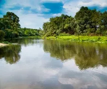 Оздоровчо-реабілітаційний центр Сосни оздоровчо-реабілітаційний