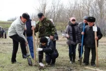 Плантації волоських горіхів та фундуку закладено у Валуйському районі Білгородської області. волоських