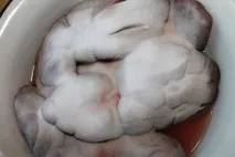 снимки бъбреци