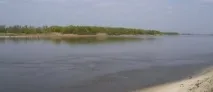 риба риба
