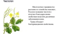 Поліп уретри у жінок лікування, операція та відгуки уретри