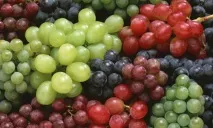 Корисні властивості винограду профілактика захворювань, витяжки з кісточок (відео) властивості