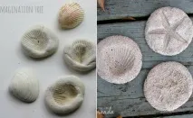 Вироби з черепашок своїми руками 15 яскравих ідей для дитячих виробів з морських черепашок яскравих