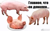 битки свински