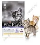 котки бременни кърмещи