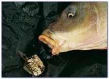 чого