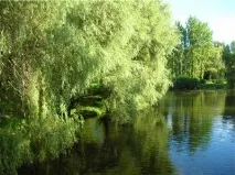 національний