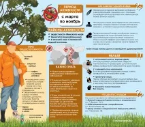 Вживаємо запобіжних заходів проти кліща вживаємо