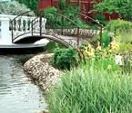 Рослини для різних зон водойми, Ставки, водойми, фонтани, Журнал «Будинок та сад» водойми