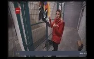 П’яний водій влаштував перегони на викраденому навантажувачі - Новини яний