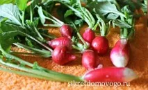 Редиска, СЕКРЕТИ ДОМОВОГО редис